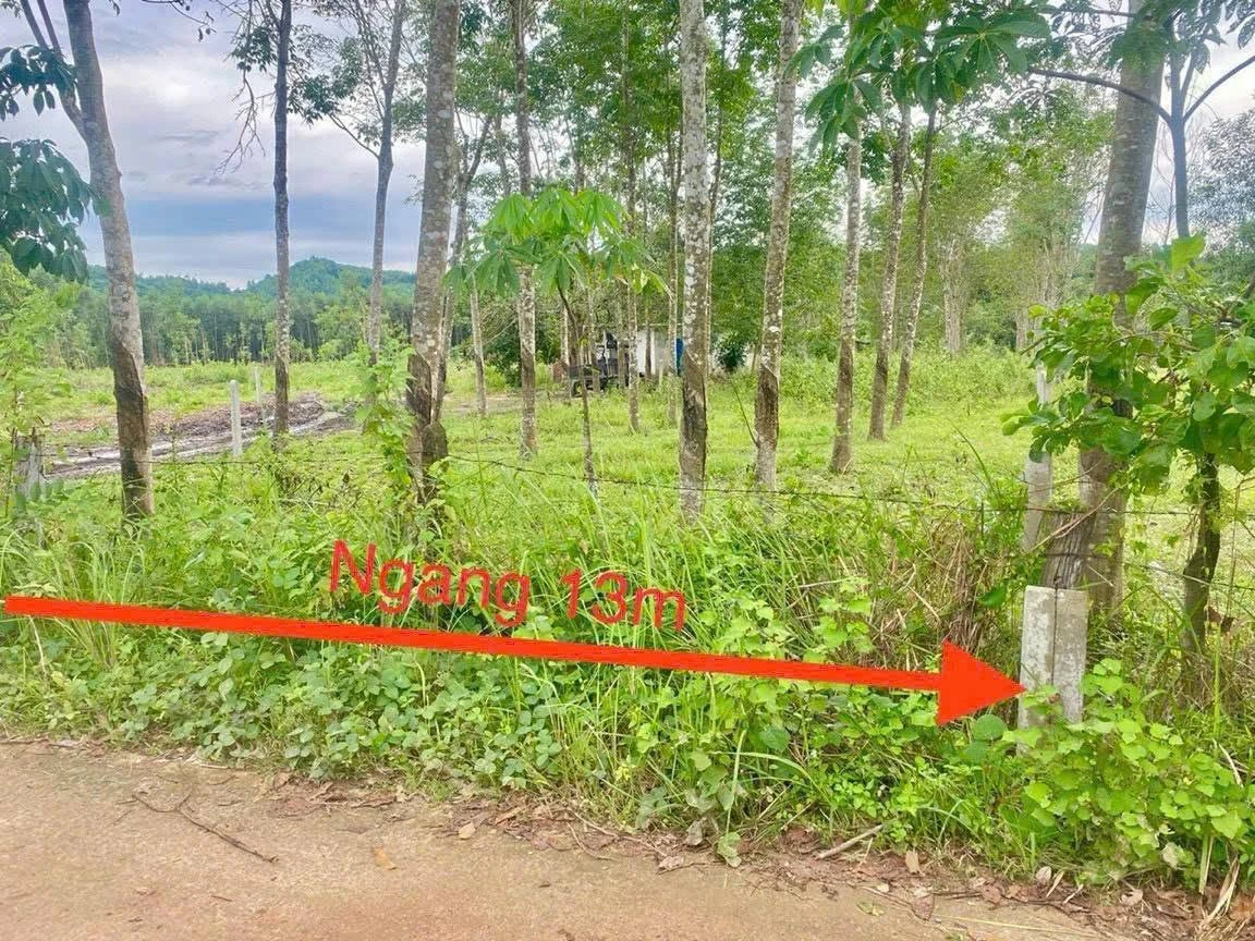 Bán đất Khánh Đông 1432m² chỉ 750 triệu - Ảnh thu nhỏ 2