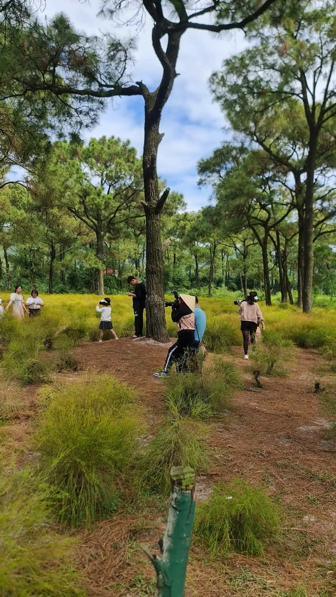 Bán đất nghỉ dưỡng 2600m² gần chùa Côn Sơn, Hải Phòng - Ảnh thu nhỏ 3
