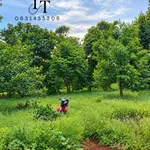 Bán đất 1000m2 sổ riêng mặt tiền Tân Hưng - Ảnh thu nhỏ 2