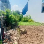 Bán đất mặt phố Phan Chu Chinh 80m2, gần chợ Nhị Châu - Ảnh thu nhỏ 2