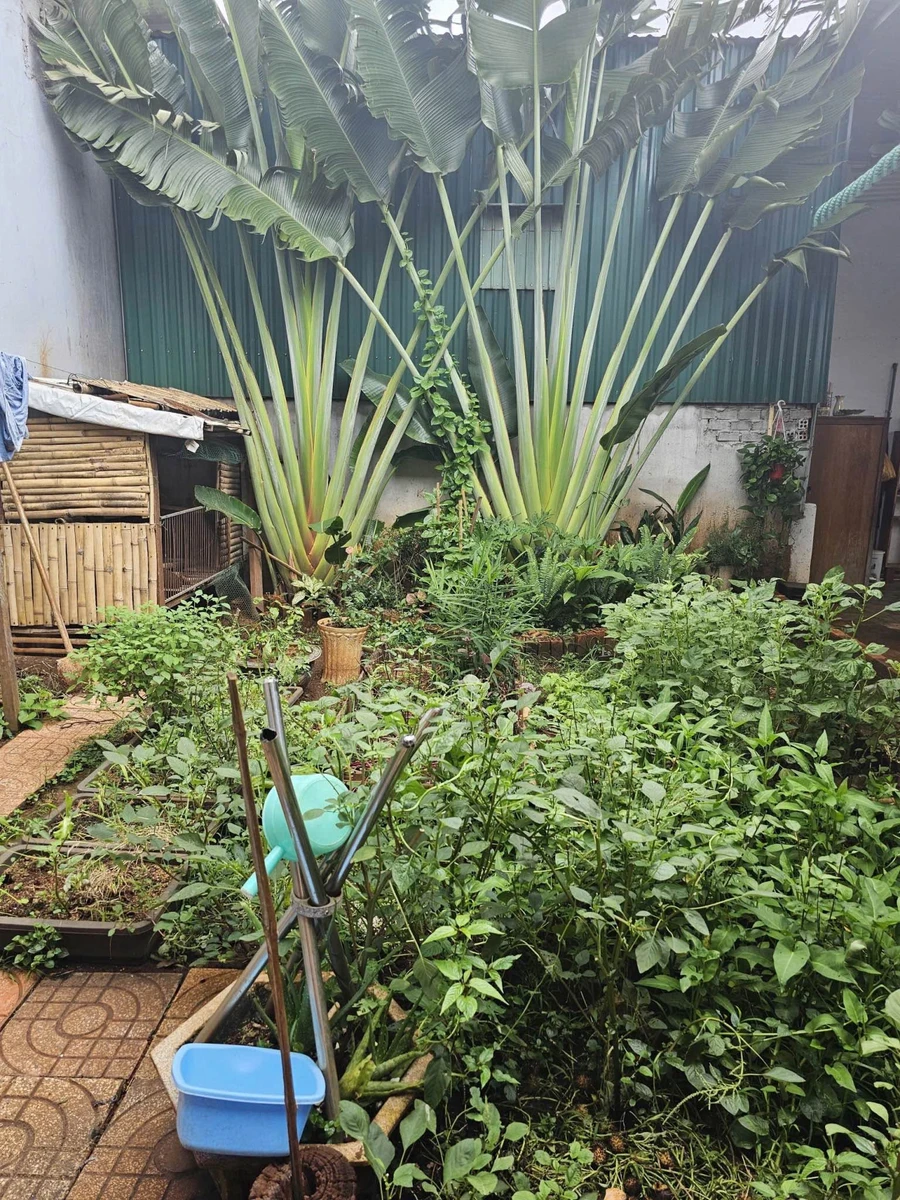 Bán nhà mặt tiền Đồng Khởi 130m² 7,5 tỷ Quận 1 - Ảnh thu nhỏ 5