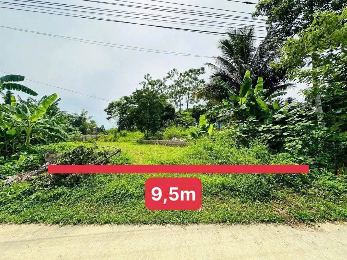 Đất bán lỗ 384m² Thanh Sơn Lương Sơn Hòa Bình 2.8tr/m² - Ảnh 1