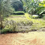 Bán đất nền 615m2 làm nhà vườn Buôn Ma Thuột - Ảnh thu nhỏ 3