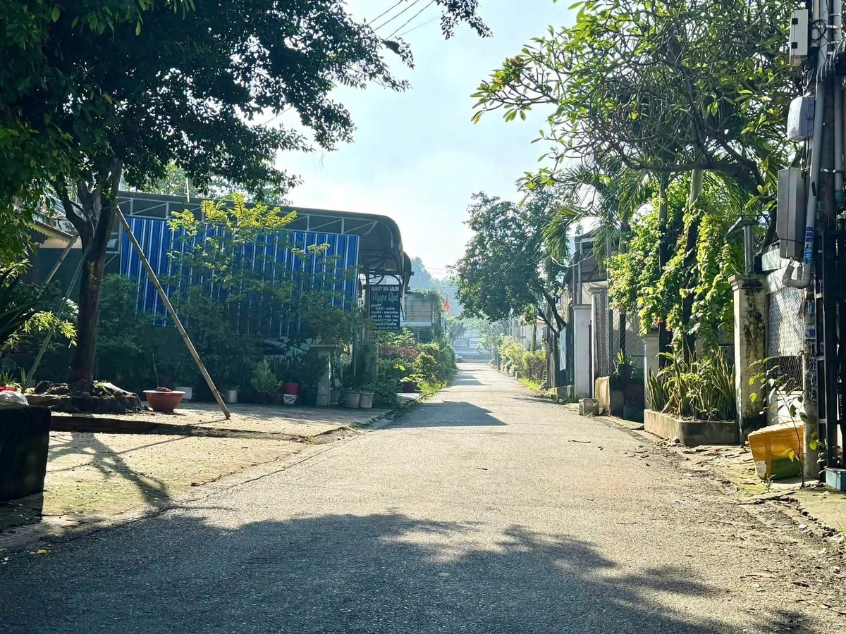 Bán lô góc 2 mặt tiền Hiệp An Thủ Dầu Một 97m2 - Ảnh thu nhỏ 3