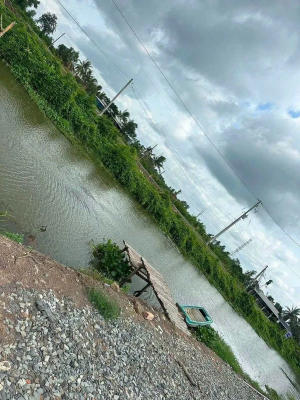 Bán nhà vườn lô góc 2 mặt tiền kênh gần 1.000m² tại Tân Thành, Thủ Thừa, Long An