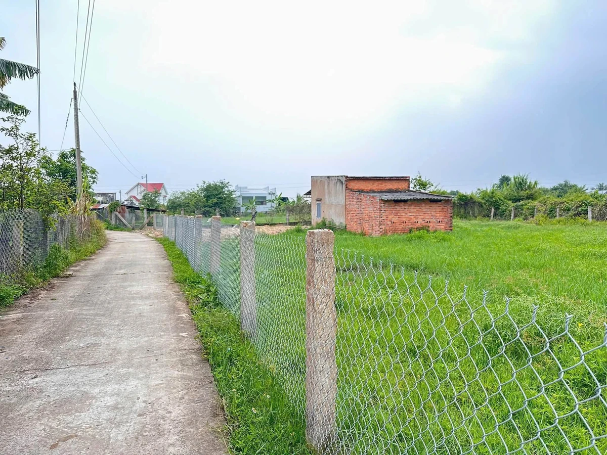Bán lô đất cây trồng 1160m² Xã Hàm Liêm Lâm Đồng - Ảnh thu nhỏ 2