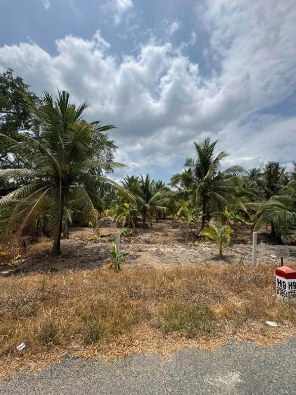 Bán đất 3000m² tại Bình Ninh, Tiền Giang, 2 tỷ 7