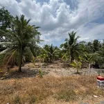 Bán đất 3000m² tại Bình Ninh, Tiền Giang, 2 tỷ 7 - Ảnh thu nhỏ 1