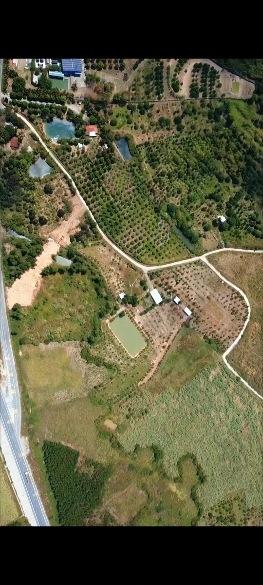 Bán đất nền 29.500m² Diên Khánh, Nha Trang 25 tỷ - Ảnh thu nhỏ 2