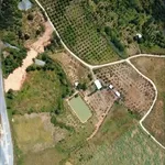 Bán đất nền 29.500m² Diên Khánh, Nha Trang 25 tỷ - Ảnh thu nhỏ 2