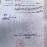 Đất đẹp giá tốt chính chủ cần bán tại đường Cây Khoa, Tân Khánh Đông, Sa Đéc, Đồng Tháp - Ảnh thu nhỏ 4