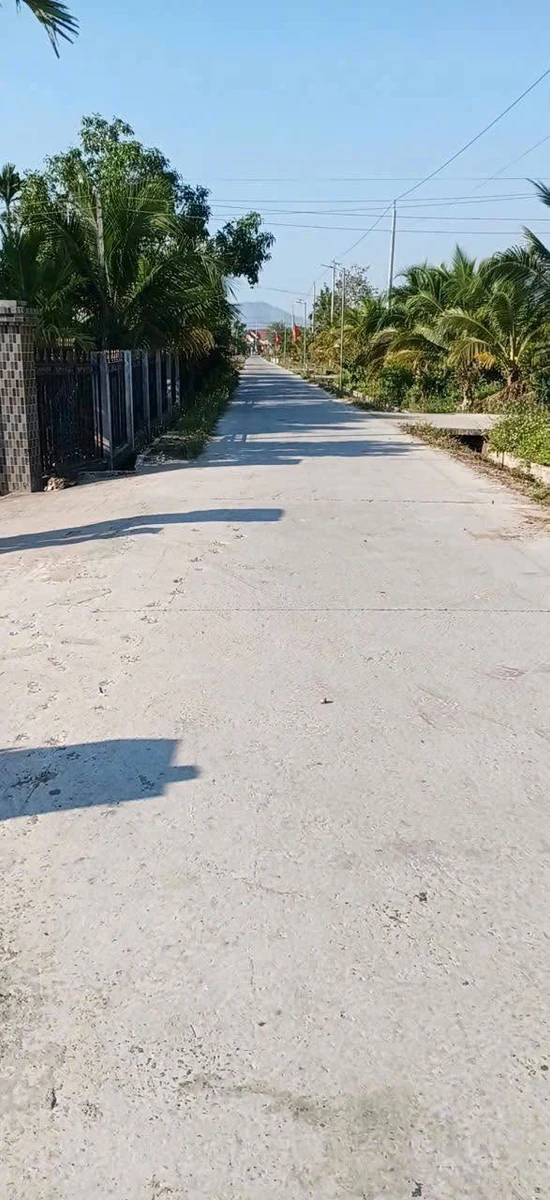 Bán lô đất 4000m² sổ hồng riêng Hàm Thuận Bắc, Bình Thuận - Ảnh 1