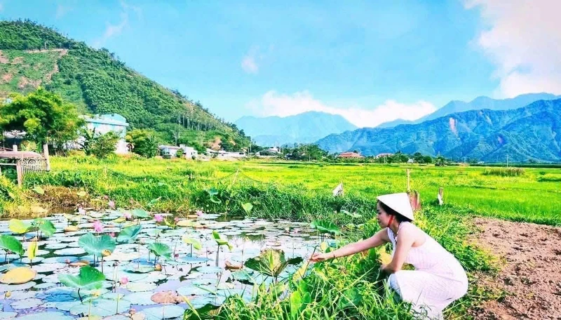 Biệt thự view cánh đồng 900m² Hoà Vang Đà Nẵng 5 tỷ