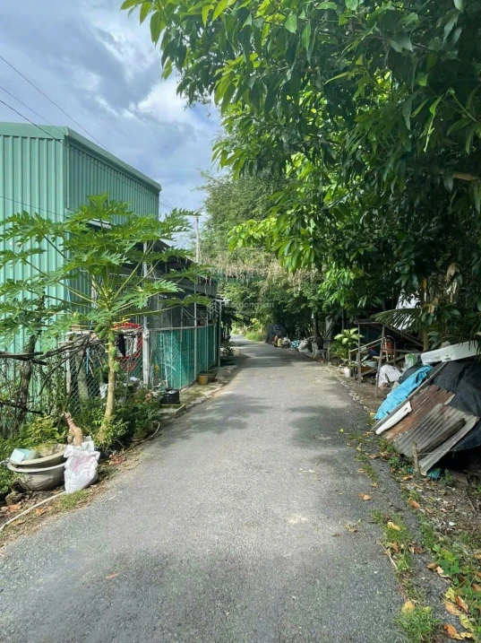 Nhanh tay sở hữu mảnh đất đẹp tại phường Mỹ Thới, An Giang (Thành phố Long Xuyên, An Giang cũ) - Ảnh thu nhỏ 3