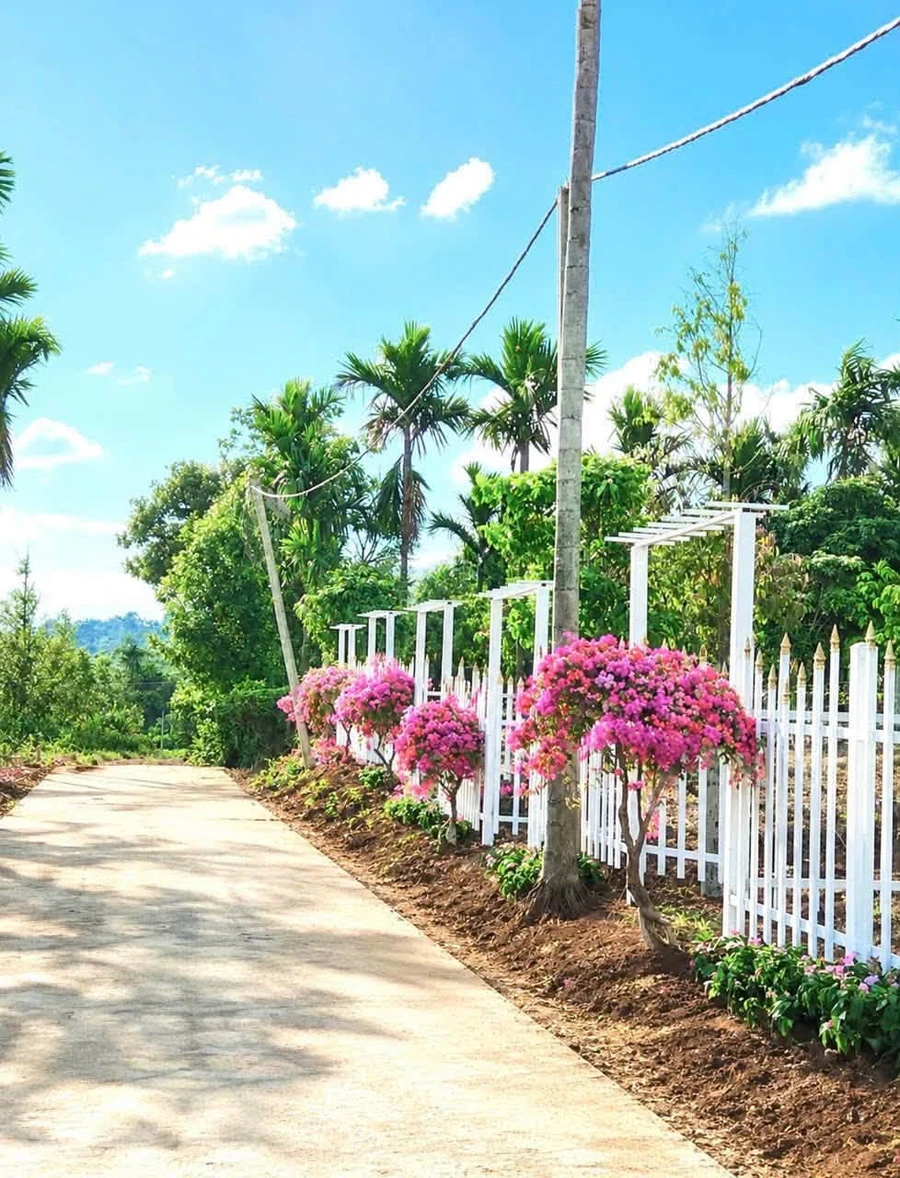Bán đất Hóc Môn 155m2, gần hồ Việt Đức, 225 triệu - Ảnh thu nhỏ 3