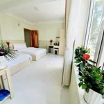 Bán khách sạn đường Pasteur, Đà Lạt 102m², 11 PN, 8 tỷ - Ảnh thu nhỏ 2