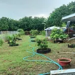 Bán nhà vườn 619m² sổ riêng, giá 680 triệu, Đồng Nai - Ảnh thu nhỏ 3