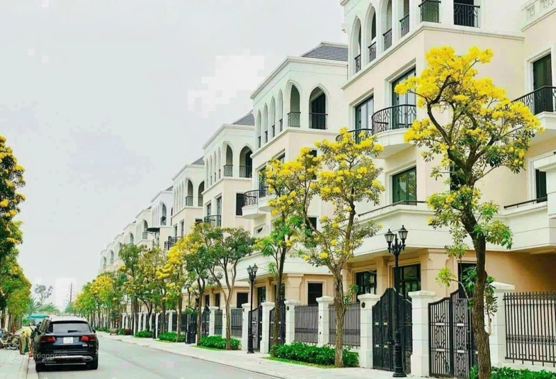 Quỹ căn chuyển nhượng giá tốt Vinhomes Ocean Park 2, Văn Giang, Hưng Yên