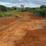 Bán đất hẻm Bùi Dự Pleiku 175m² giá 1 tỷ - Ảnh thu nhỏ 3