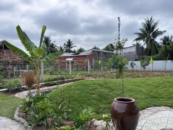 Bán biệt thự 572m2 có hồ bơi tại Giao Long, Bến Tre - Ảnh thu nhỏ 3