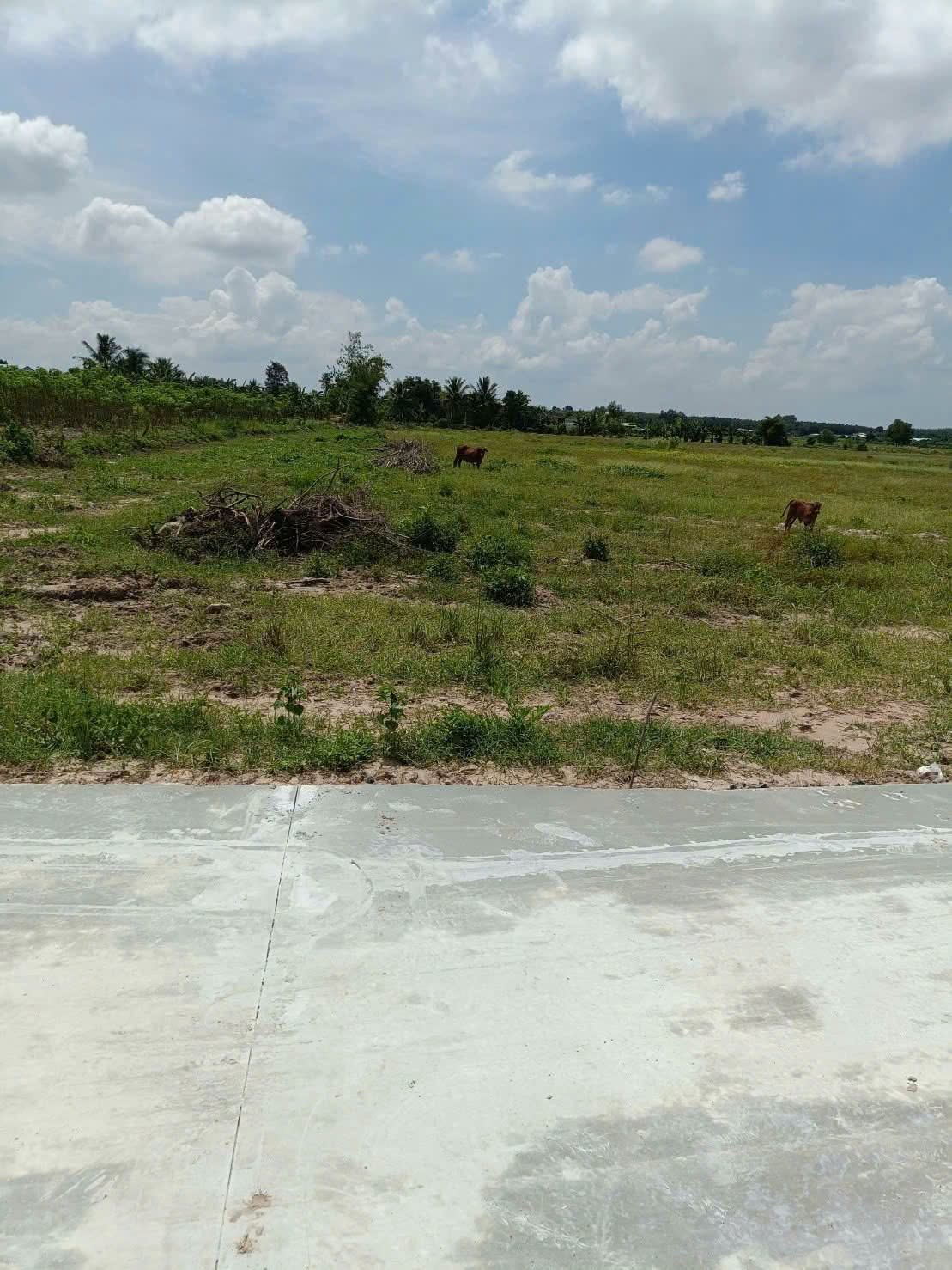 Bán đất công Xóm Mới 2 1000m2 Châu Thành Tây Ninh