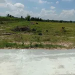Bán đất công Xóm Mới 2 1000m2 Châu Thành Tây Ninh - Ảnh thu nhỏ 1