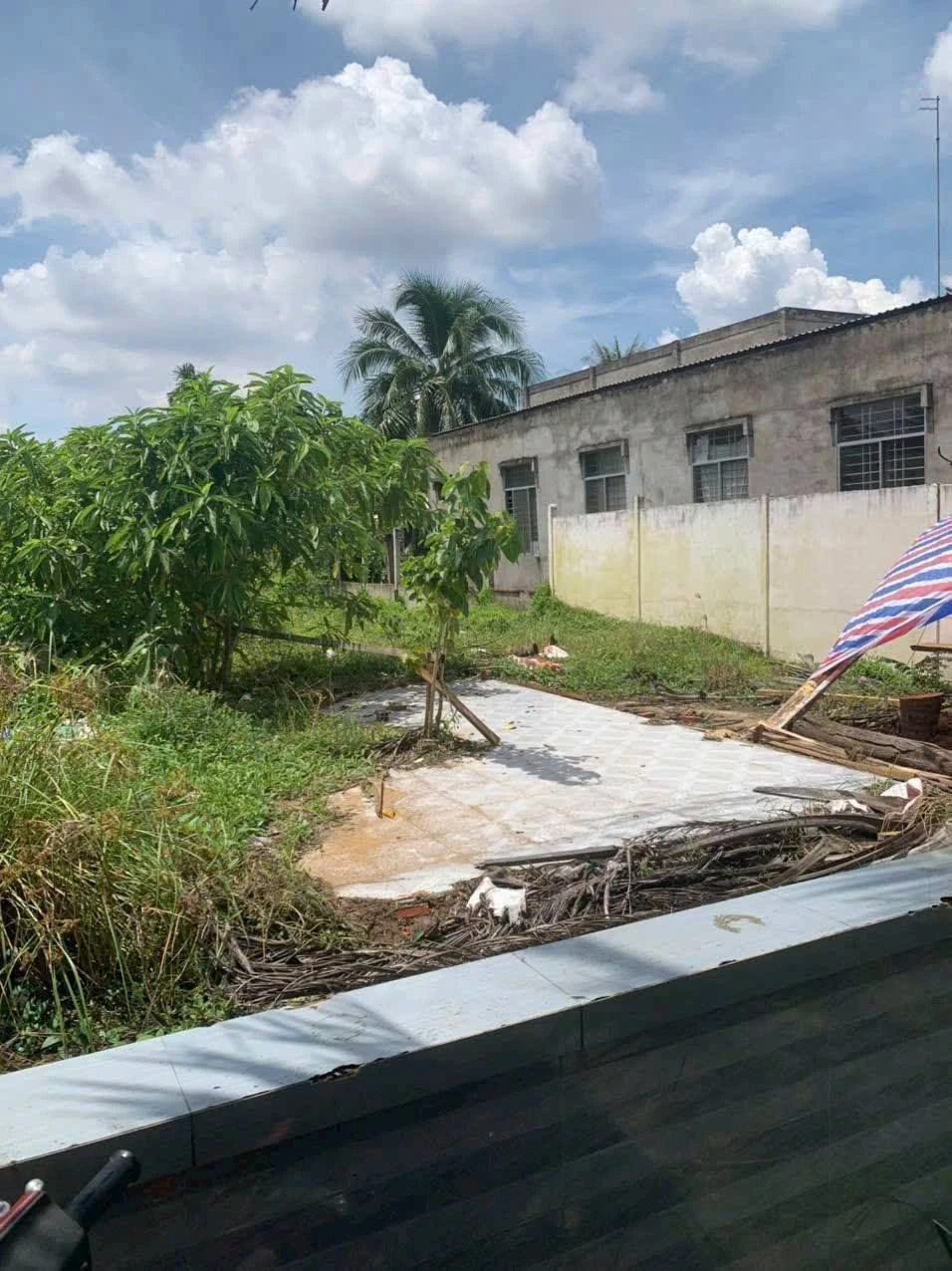 Bán đất 100m2 Châu Thành Tiền Giang 499 triệu - Ảnh 1