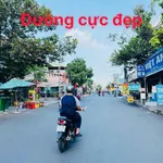 Bán mặt tiền Huỳnh Dân Sanh 300m2, Long Bình - Ảnh thu nhỏ 1