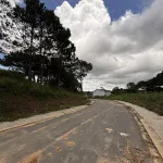 Bán đất xây dựng view rừng thông An Sơn Thành phố Đà Lạt - Ảnh thu nhỏ 7