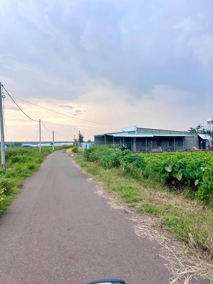 Bán đất 196m² Xã Nghĩa Thành, BR-VT, 470 triệu - Ảnh thu nhỏ 3