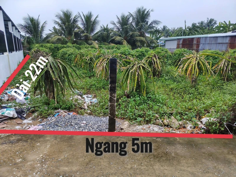 Bán đất thổ cư 110m² Tầm Vu, Châu Thành, Long An 495 triệu