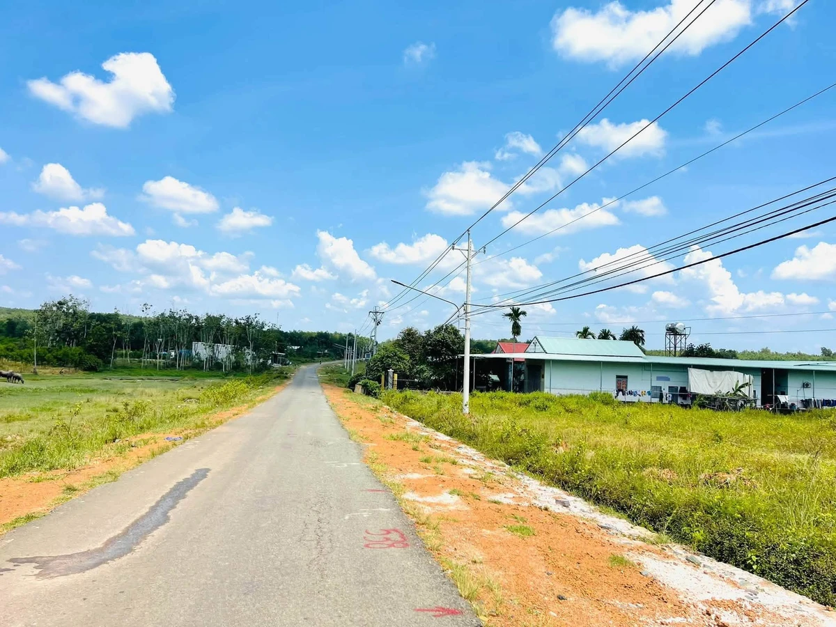 Bán đất Đường Số 40 Minh Thành Bình Dương 200m² - Ảnh thu nhỏ 4