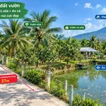 Bán mảnh vườn 1.000m² Long Khánh, mặt tiền 37m - Ảnh thu nhỏ 2