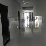 Bán nhà 3PN kèm trại heo 1000m2 Tây Hòa - Ảnh thu nhỏ 2