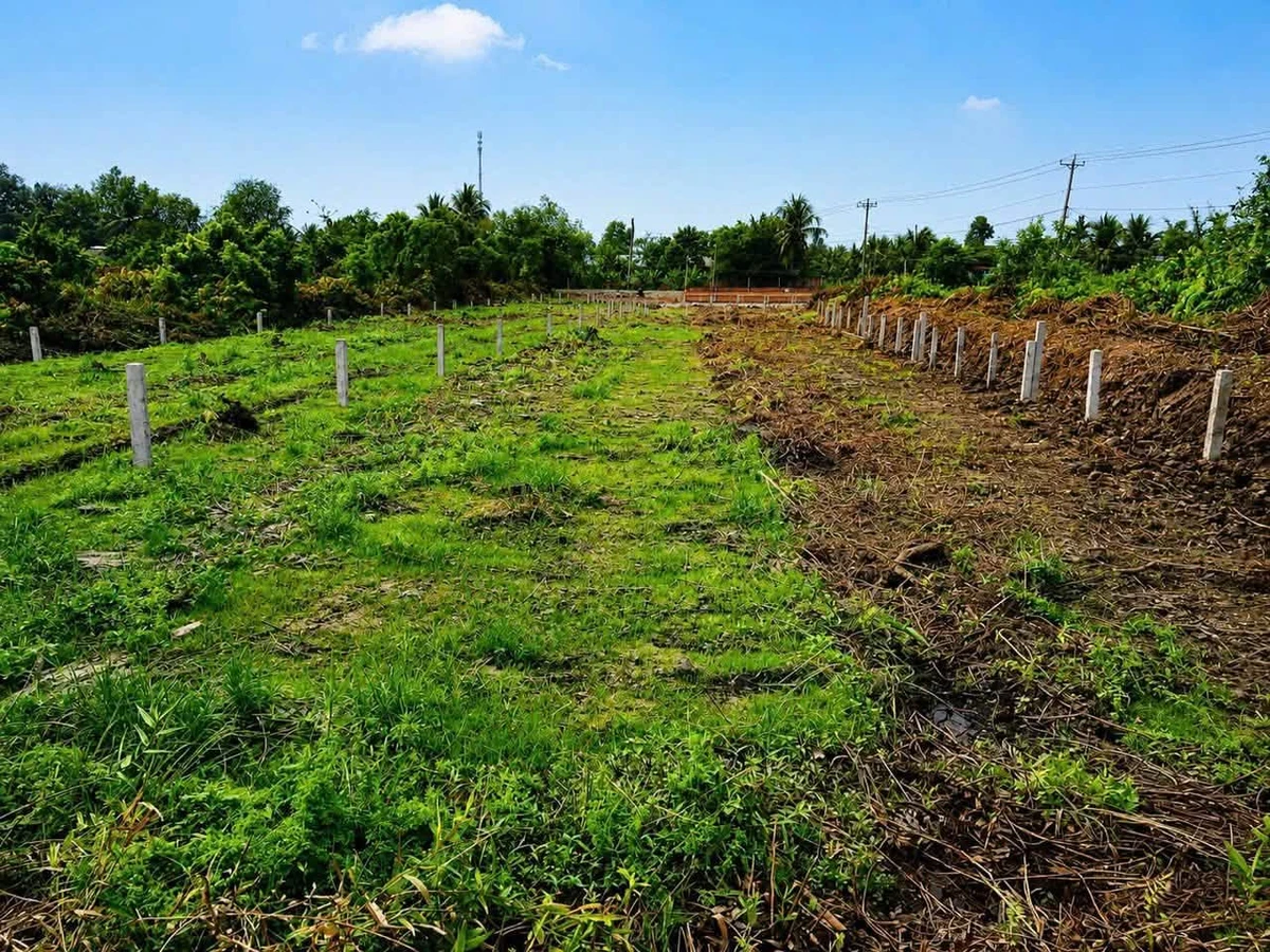 Bán 2 lô đất thổ cư 500m² và 652m² giá 1,15 tỷ/lô tại Thạnh Hòa, Bến Lức, Long An - Ảnh thu nhỏ 4