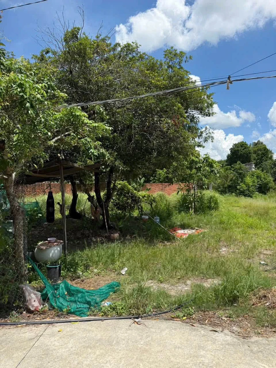 Bán đất Phú An 132m² 1 tỷ 50 triệu Thủ Đức - Ảnh thu nhỏ 2