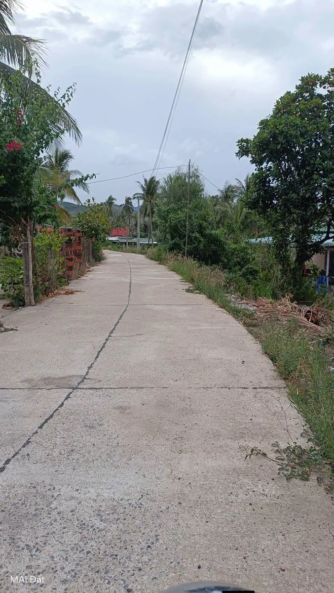 Bán đất mặt tiền đường bê tông 990m2 (400m2 thổ cư) gần đầm Cù Mông, Xuân Lộc, Sông Cầu - Ảnh thu nhỏ 2