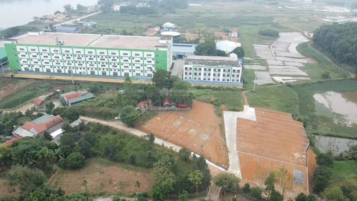 540tr có ngay 173.9m2 sổ đỏ cách Hà Nội 6km Thanh Thuỷ, cạnh công ty giày da hơn 4000 công nhân - Ảnh 1