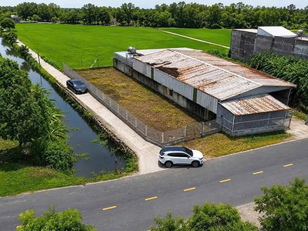 Bán đất 398m² hai mặt tiền Đỗ Tường Tự Tân An - Ảnh thu nhỏ 2