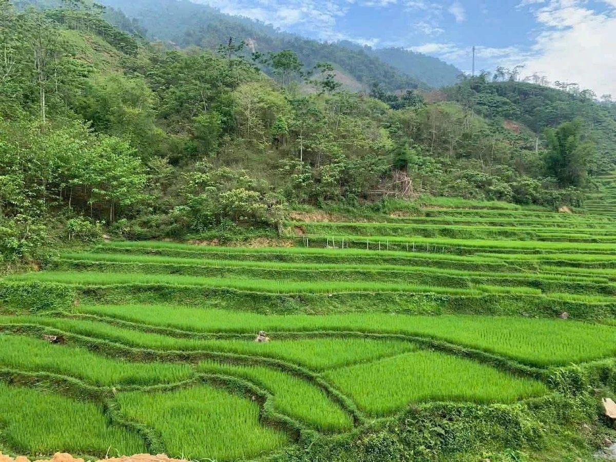 Bán 4000m2 đất nghỉ dưỡng Đà Bắc, Hòa Bình, giá 2.5 tỷ, gần cao tốc - Ảnh thu nhỏ 2