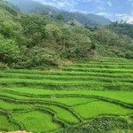 Bán 4000m2 đất nghỉ dưỡng Đà Bắc, Hòa Bình, giá 2.5 tỷ, gần cao tốc - Ảnh thu nhỏ 2