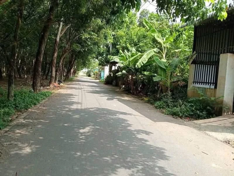 Bán đất thổ cư đường nhựa 6m, sau trường mầm non Phú An, gần DT744 - Ảnh thu nhỏ 2