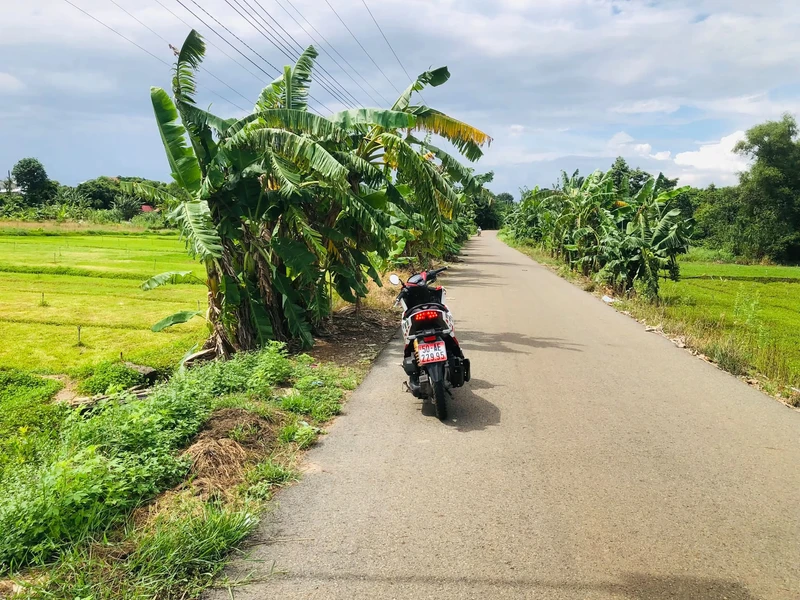 Bán 1296m2 đất nông nghiệp Vĩnh Thạnh, Cần Thơ - 3 tỷ 300 triệu sp422a