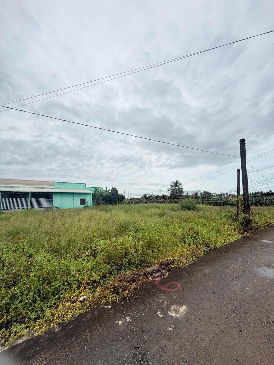 Bán đất thổ cư 130m² giá 309 triệu đường Bờ Sen, xã Tầm Vu, Tây Ninh - Ảnh thu nhỏ 3