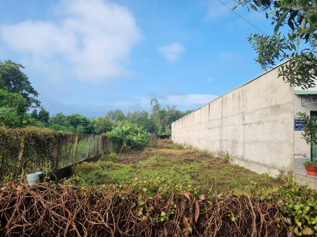 Bán đất xây trọ nhà ở Phước Đức A, 610m², 2.3 tỷ - Ảnh thu nhỏ 3