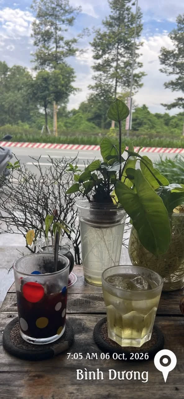 Bán đất 1000m² đường xe tải gần VSIP 2A, Bình Dương 2 tỷ 750 - Ảnh 1