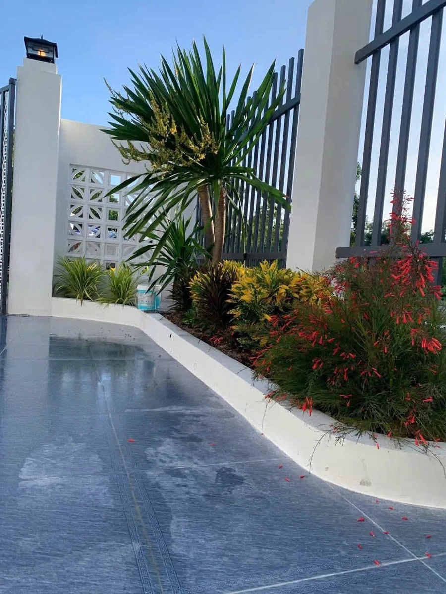 Bán nhà mới 140m² 3PN tại Tây Ninh - Ảnh thu nhỏ 2