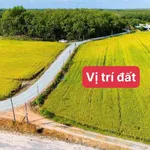 Bán đất mặt tiền Tây Ninh 250m² 189 triệu - Ảnh thu nhỏ 2