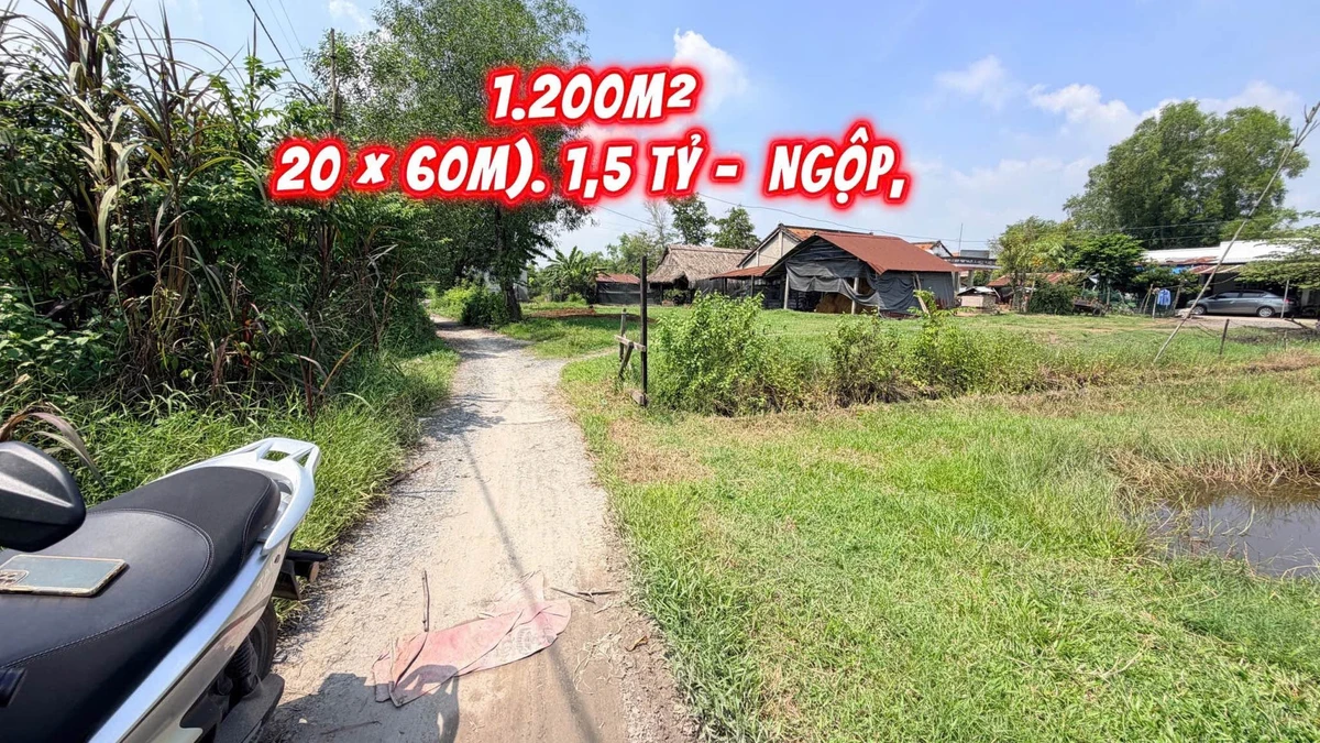 Bán đất Mỹ Hạnh Đức Hòa 1.260m² 1,5 tỷ - Ảnh 1