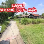 Bán đất Mỹ Hạnh Đức Hòa 1.260m² 1,5 tỷ - Ảnh thu nhỏ 1